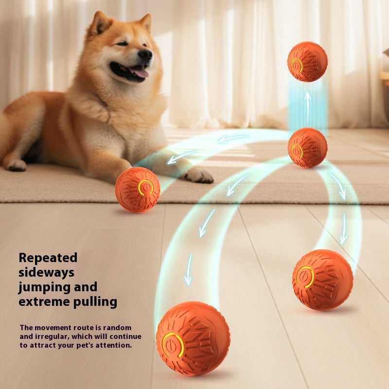 JumpBall™ – La Palla Pazza per Cani Scatenati